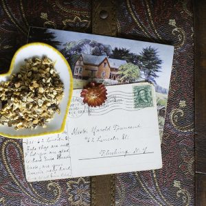 Buy Online - USDA Certified Organic Licorice Spice Herbal Tisane. With anic Licorice, Organic Orange Peel, Organic Cinnamon, Organic Clove